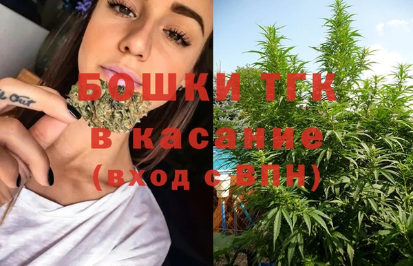 молекула духа Кулебаки