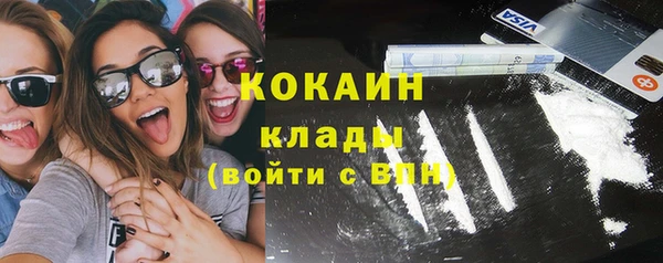 молекула духа Кулебаки