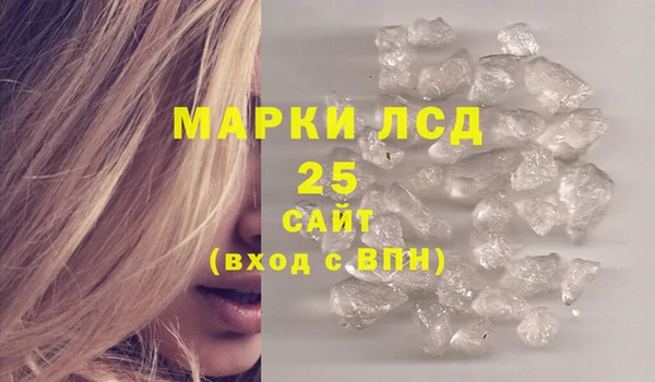 молекула духа Кулебаки